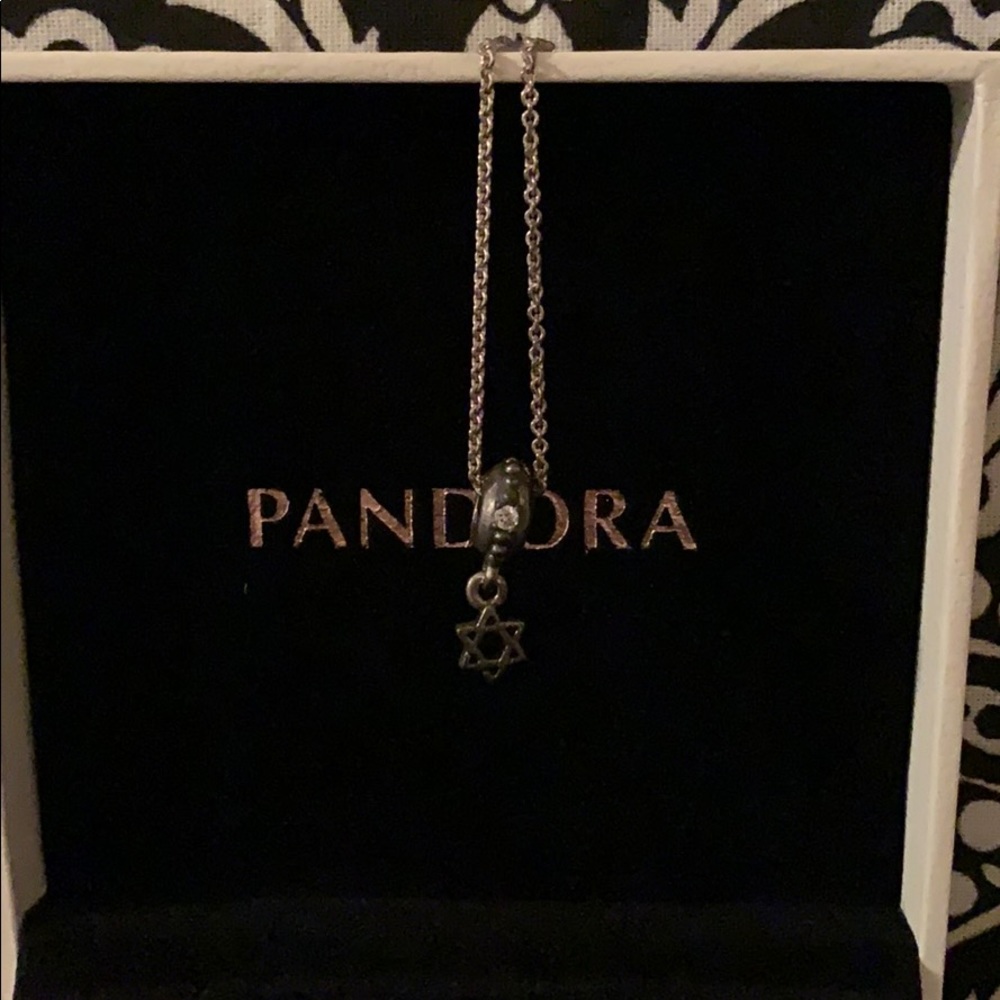 Pandora Star of David charm necklace.